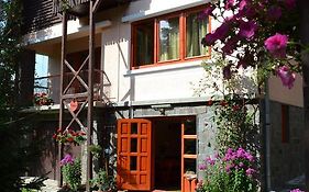 Casa Camelia